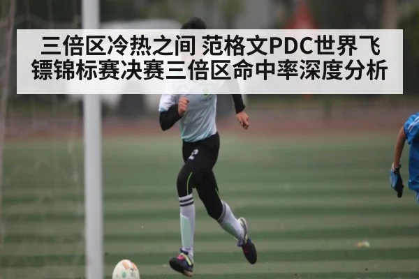 三倍区冷热之间 范格文PDC世界飞镖锦标赛决赛三倍区命中率深度分析